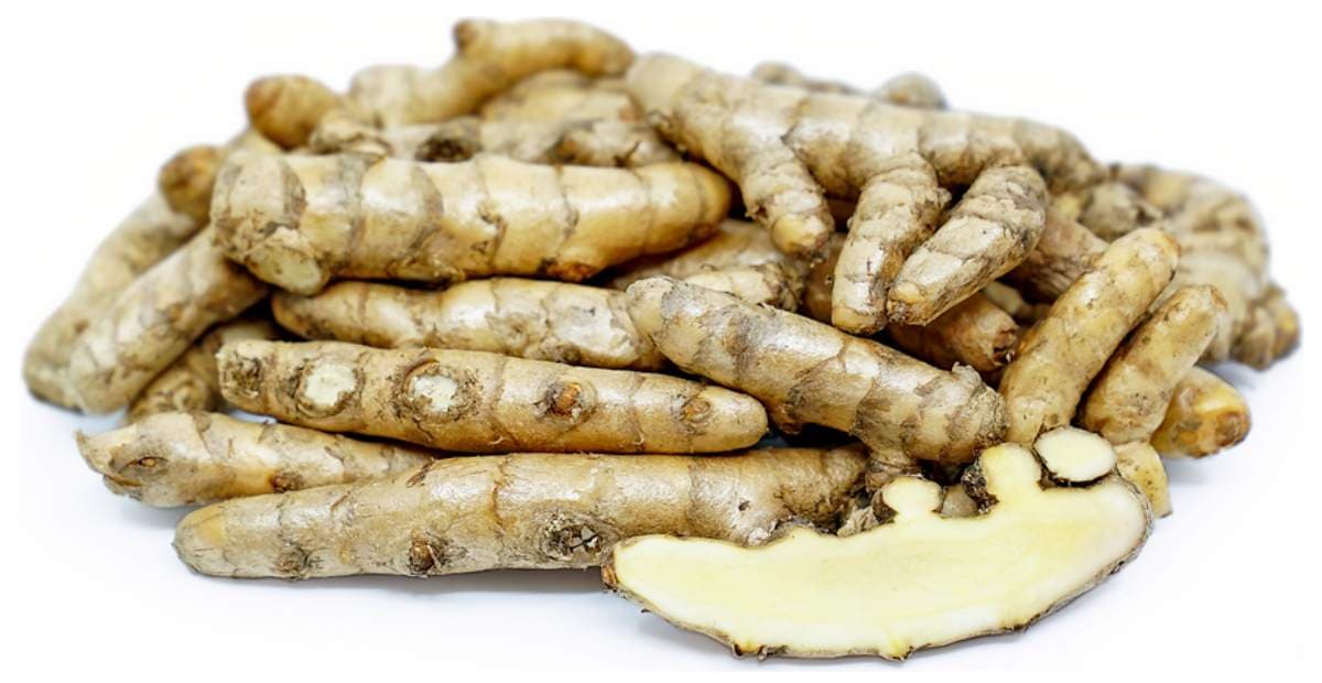 Kunir putih (Curcuma zedoaria)