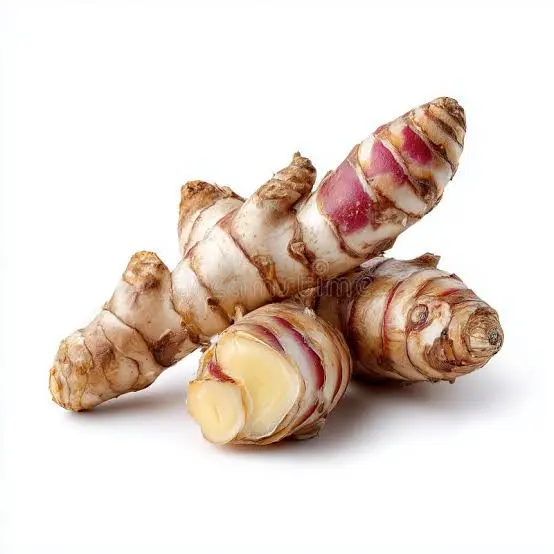 Laos (Alpinia galanga)