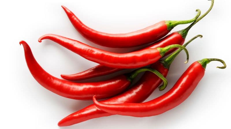 Cabai (Capsicum annuum)