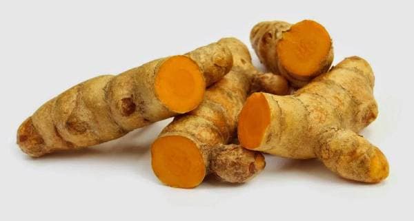 Temulawak (Curcuma zanthorrhiza)